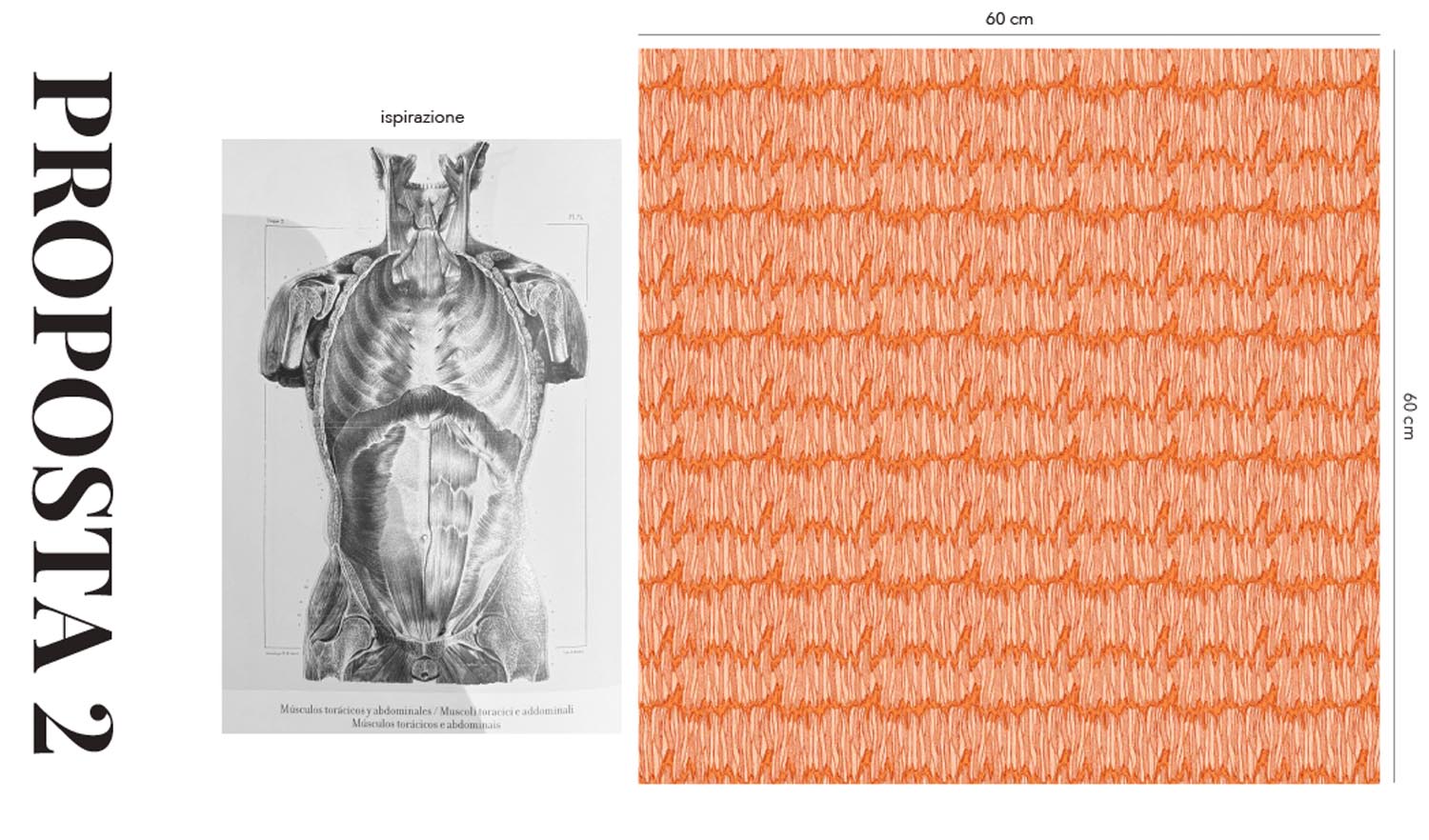 camilla-binetti-dondi-sketches_1