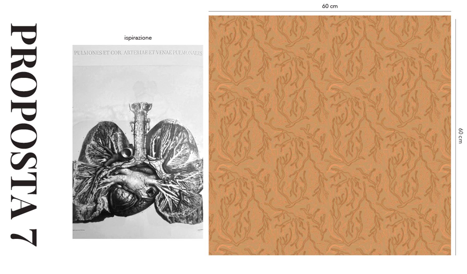camilla-binetti-dondi-sketches_19