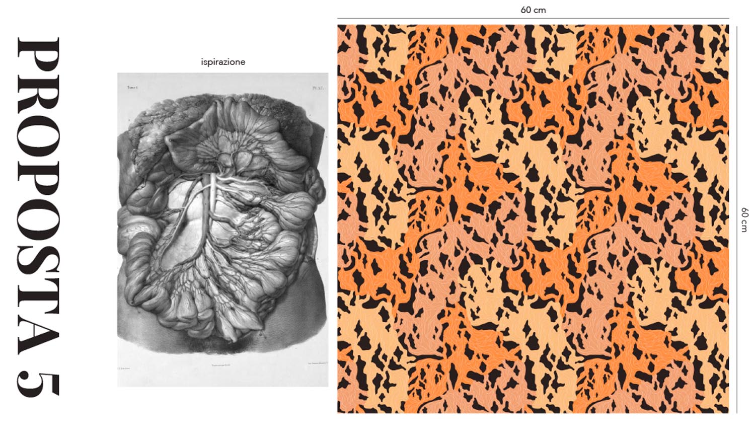 camilla-binetti-dondi-sketches_26