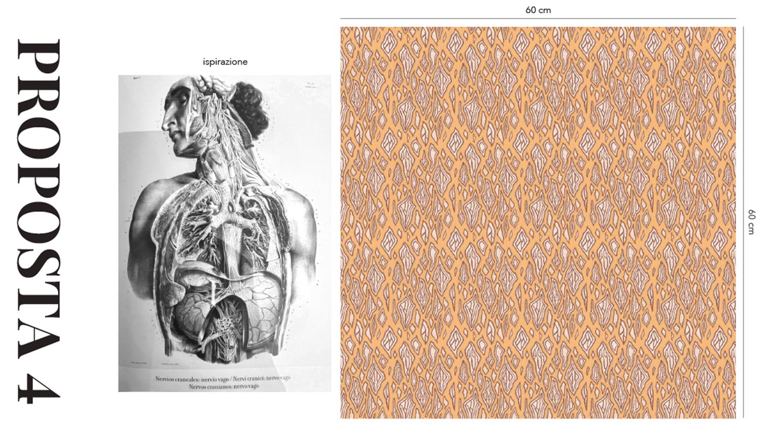 camilla-binetti-dondi-sketches_29