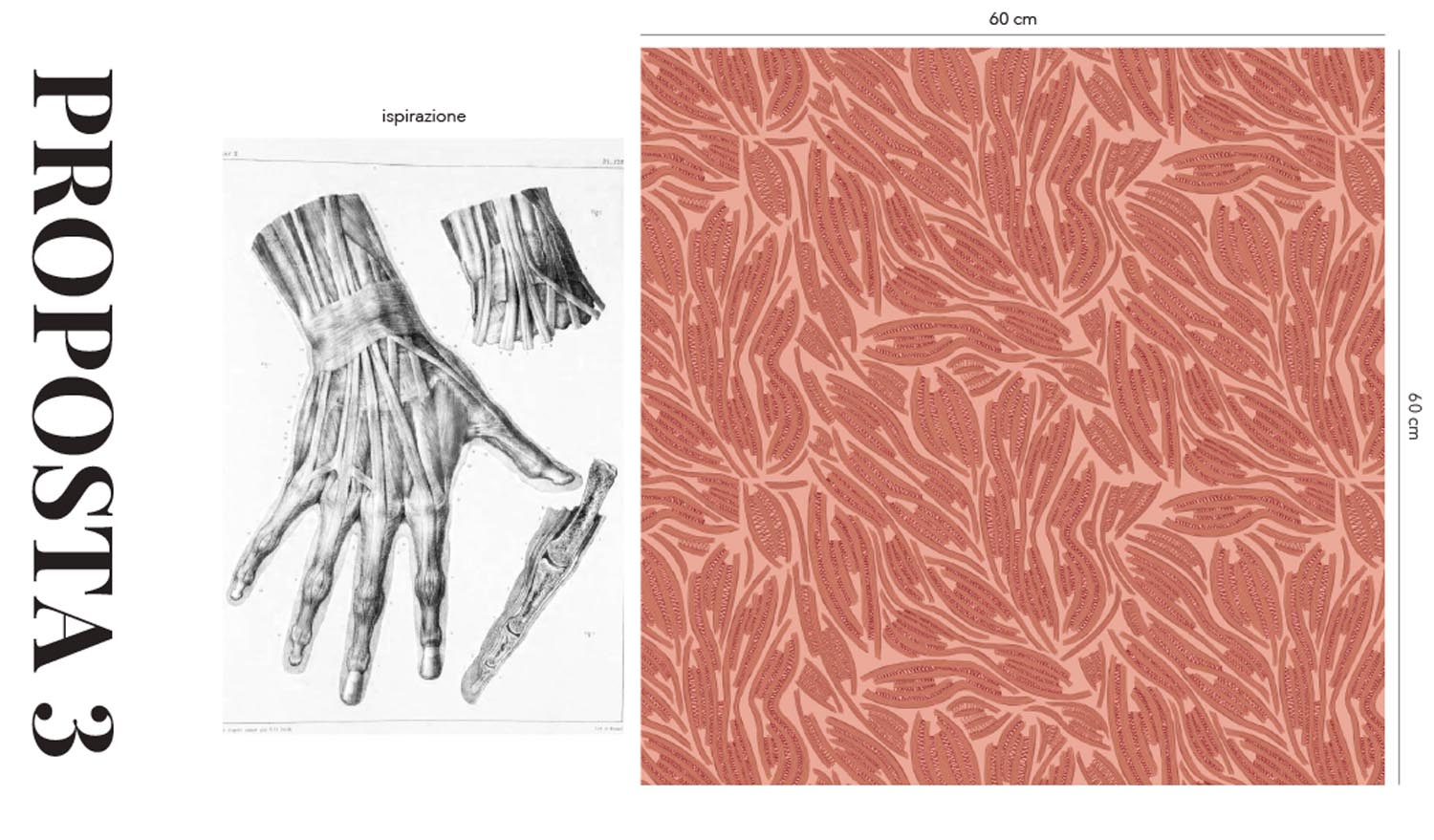camilla-binetti-dondi-sketches_33