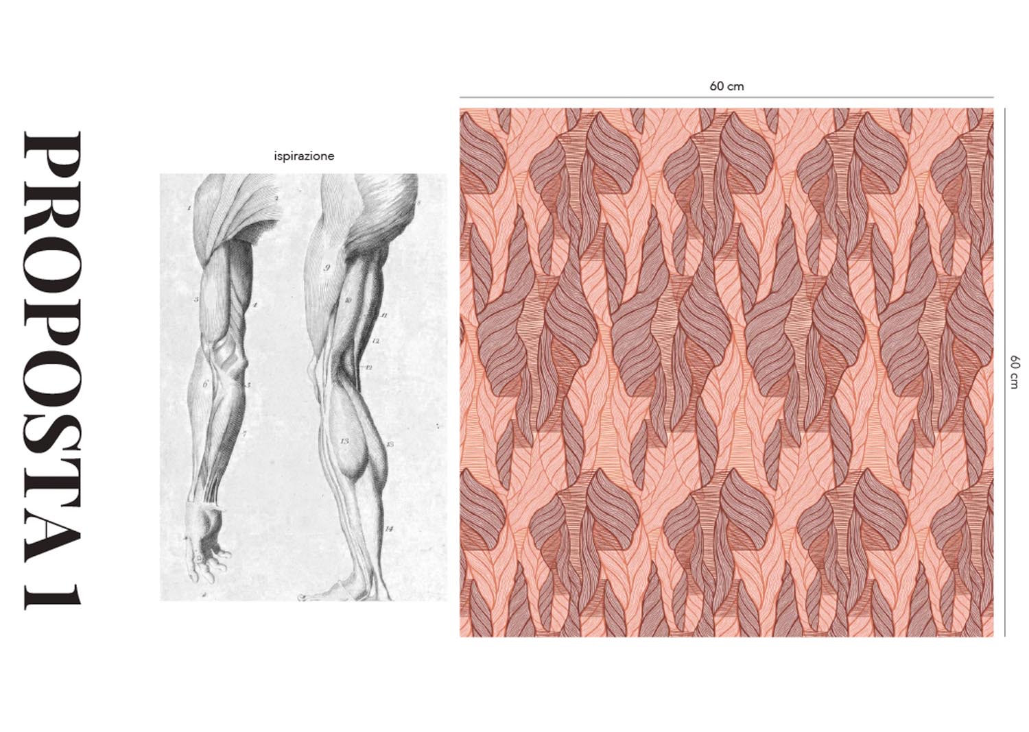 camilla-binetti-dondi-sketches_5