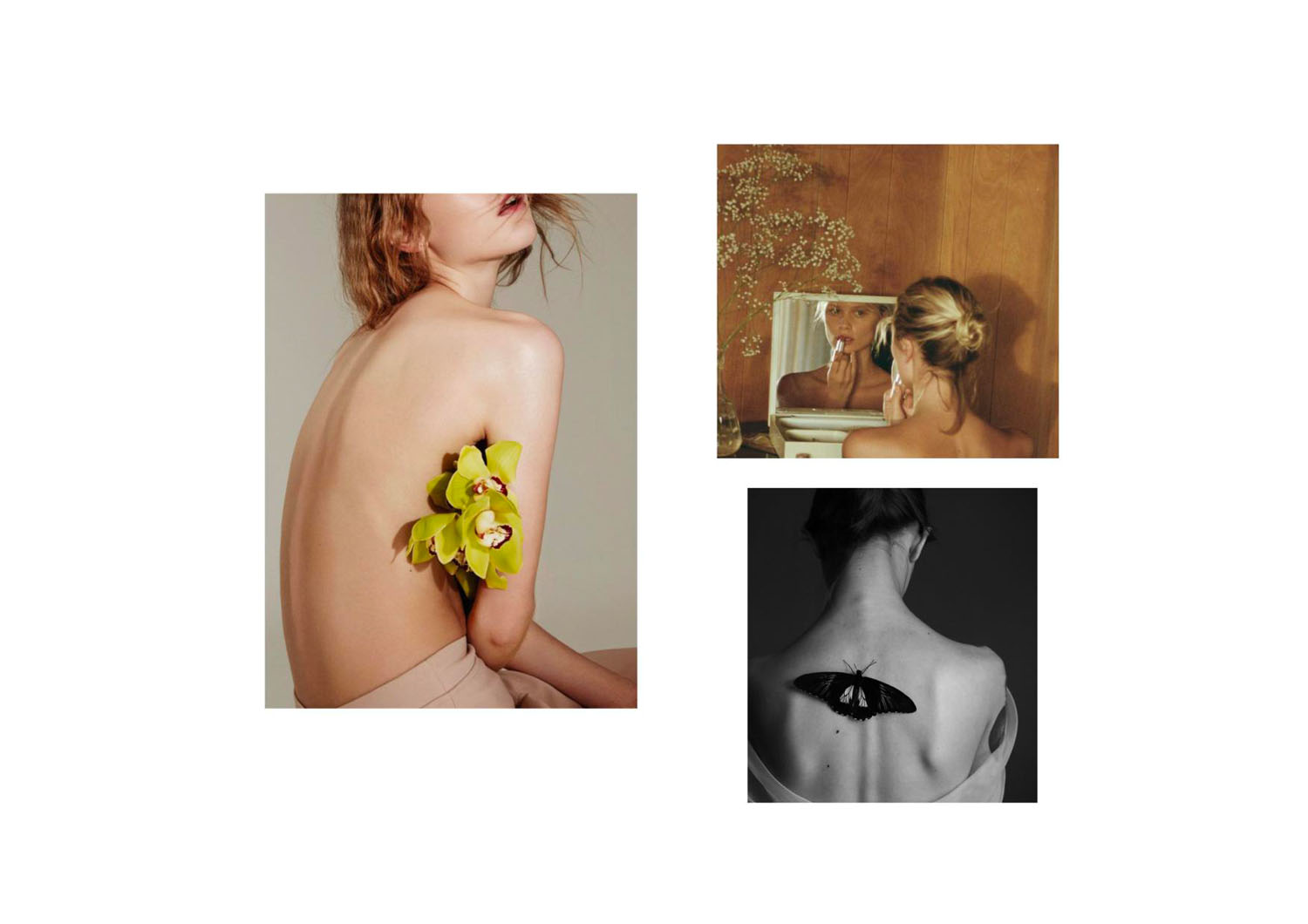 diana-oscos-rueda-fendi-mood_1