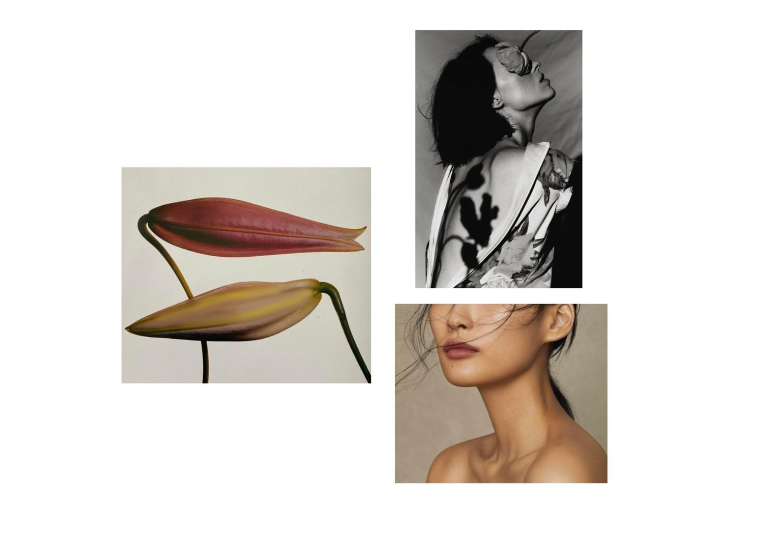 diana-oscos-rueda-fendi-mood_2